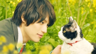 Thumbnail of post image 039