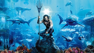 Thumbnail of post image 054