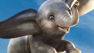 Thumbnail of post image 065