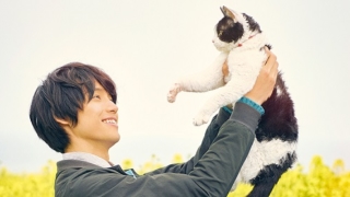 Thumbnail of post image 070